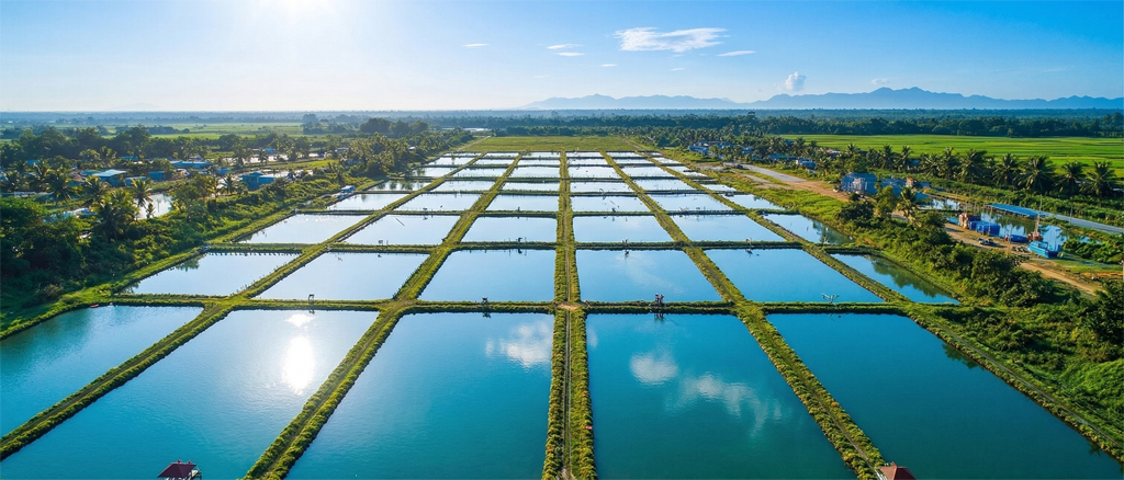 Sustainable fishing in Indonesia